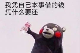 无棣企业清欠服务